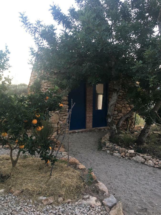 Finca Florecer Tivenys 외부 사진